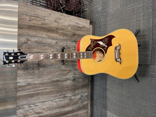Gibson - ACODOANNH